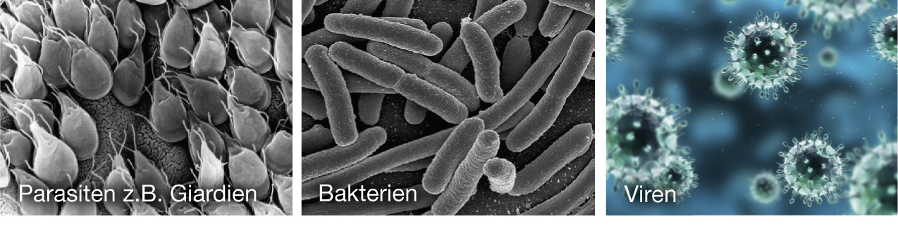 Neroclean - BakterienViren A 1